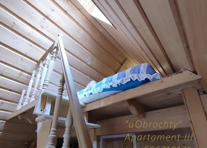 乌奥布洛提民宿 民宿 扎科帕内