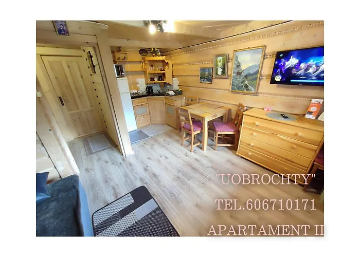 乌奥布洛提民宿 民宿 扎科帕内